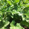 Azienda agricola