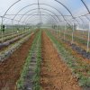 Azienda agricola